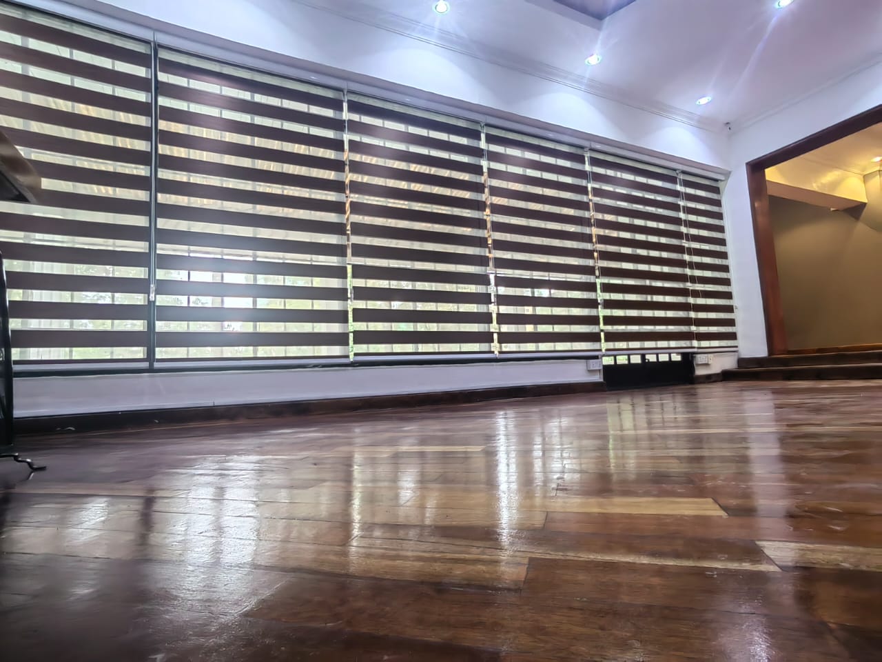 Zebra Blinds Open